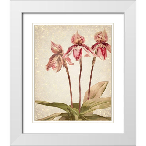Orchids 4 White Modern Wood Framed Art Print with Double Matting by Kimberly, Allen