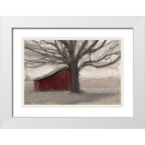 Barnyard Star White Modern Wood Framed Art Print with Double Matting by Allen, Kimberly