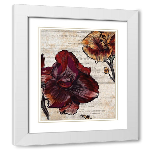 Brilliant Blooms 1 White Modern Wood Framed Art Print with Double Matting by Kimberly, Allen