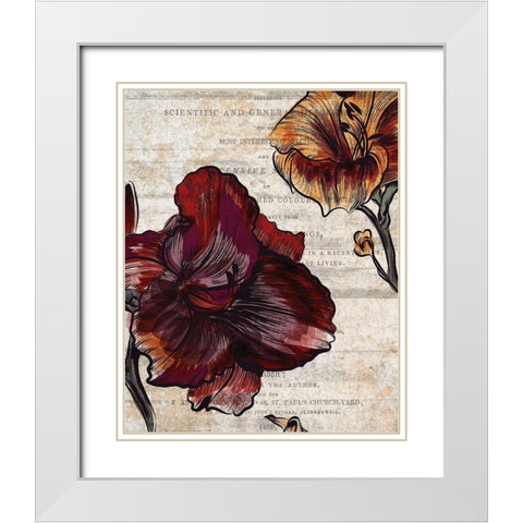 Brilliant Blooms 1 White Modern Wood Framed Art Print with Double Matting by Kimberly, Allen