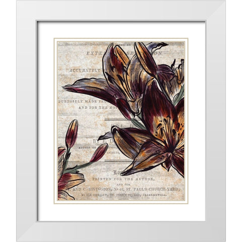 Brilliant Blooms 2 White Modern Wood Framed Art Print with Double Matting by Kimberly, Allen