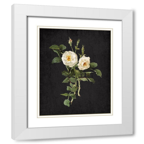 Roses on Black 1 White Modern Wood Framed Art Print with Double Matting by Kimberly, Allen