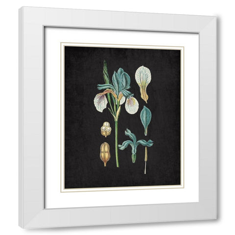 Blue Iris 2 White Modern Wood Framed Art Print with Double Matting by Kimberly, Allen