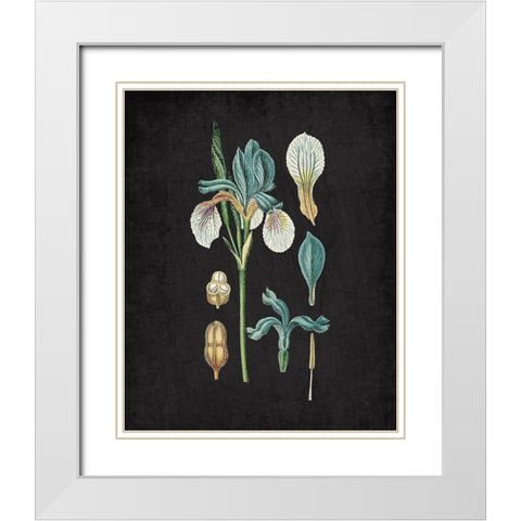 Blue Iris 2 White Modern Wood Framed Art Print with Double Matting by Kimberly, Allen