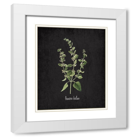 Lemon Balm White Modern Wood Framed Art Print with Double Matting by Kimberly, Allen