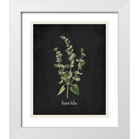 Lemon Balm White Modern Wood Framed Art Print with Double Matting by Kimberly, Allen