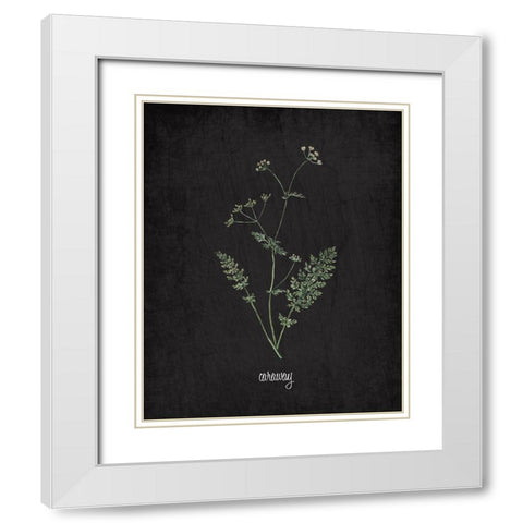 Caraway White Modern Wood Framed Art Print with Double Matting by Kimberly, Allen