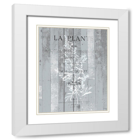 La Plante 1 White Modern Wood Framed Art Print with Double Matting by Kimberly, Allen