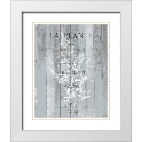 La Plante 1 White Modern Wood Framed Art Print with Double Matting by Kimberly, Allen