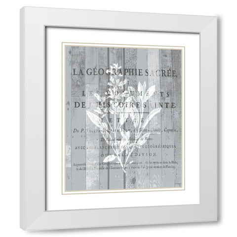 La Plante 2 White Modern Wood Framed Art Print with Double Matting by Kimberly, Allen