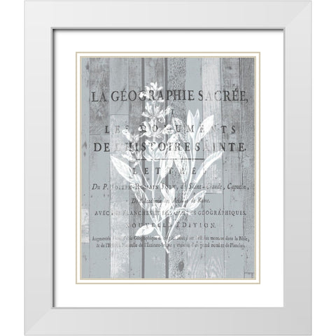 La Plante 2 White Modern Wood Framed Art Print with Double Matting by Kimberly, Allen