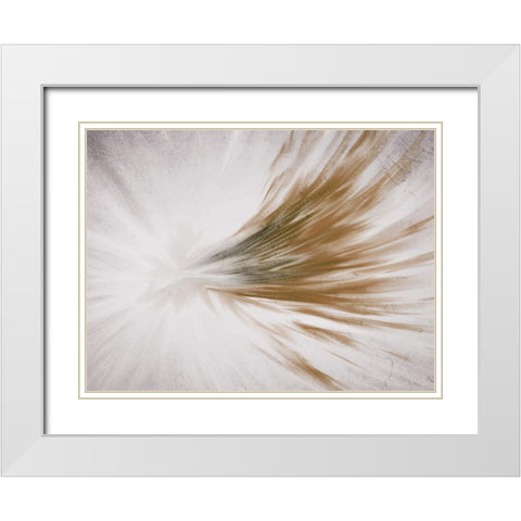 Shimmery Streak White Modern Wood Framed Art Print with Double Matting by Kimberly, Allen