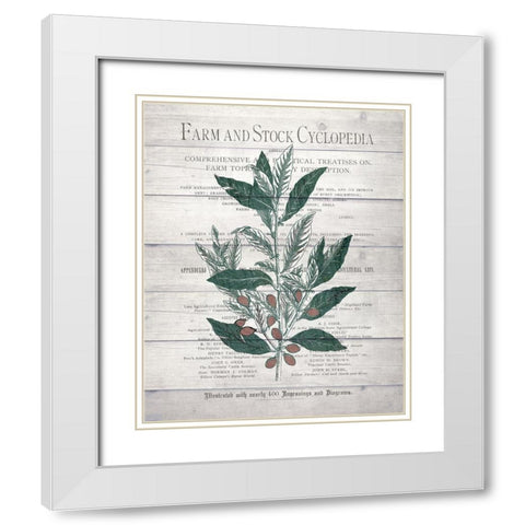 Botanical A v2 White Modern Wood Framed Art Print with Double Matting by Kimberly, Allen