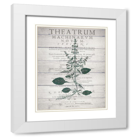 Botanical B v2 White Modern Wood Framed Art Print with Double Matting by Kimberly, Allen