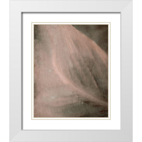 Shaded Leaf 2 White Modern Wood Framed Art Print with Double Matting by Kimberly, Allen