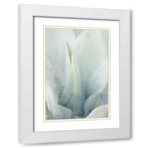 Agave 1 White Modern Wood Framed Art Print with Double Matting by Kimberly, Allen