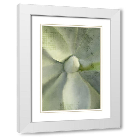 Agave 2 White Modern Wood Framed Art Print with Double Matting by Kimberly, Allen