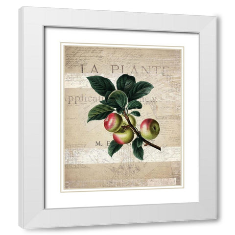 Fruit 1 White Modern Wood Framed Art Print with Double Matting by Kimberly, Allen