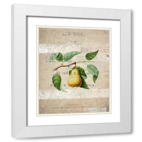 Fruit 2 White Modern Wood Framed Art Print with Double Matting by Kimberly, Allen