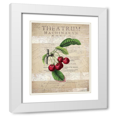 Fruit 3 White Modern Wood Framed Art Print with Double Matting by Kimberly, Allen