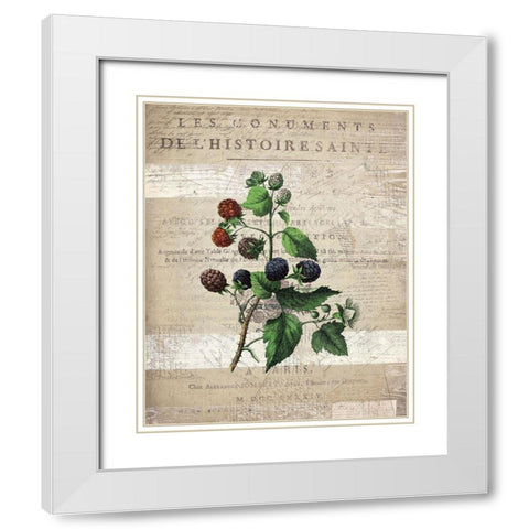 Fruit 4 White Modern Wood Framed Art Print with Double Matting by Kimberly, Allen
