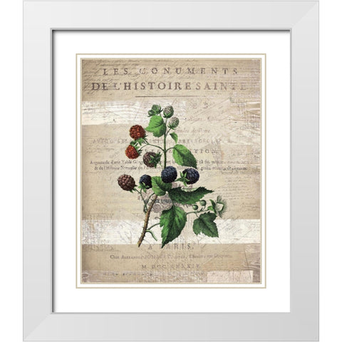 Fruit 4 White Modern Wood Framed Art Print with Double Matting by Kimberly, Allen
