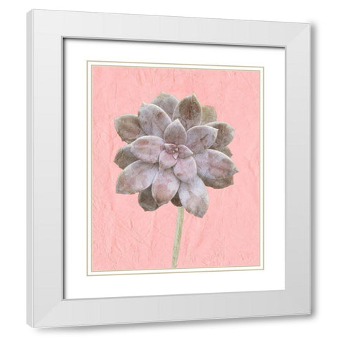On Pink C White Modern Wood Framed Art Print with Double Matting by Kimberly, Allen