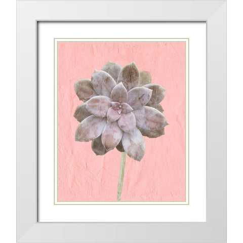 On Pink C White Modern Wood Framed Art Print with Double Matting by Kimberly, Allen