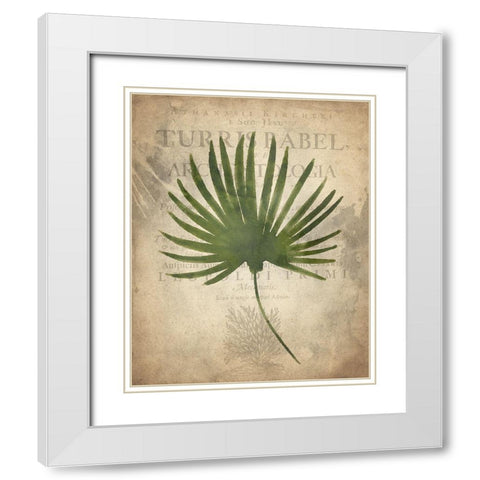 Palms C White Modern Wood Framed Art Print with Double Matting by Kimberly, Allen