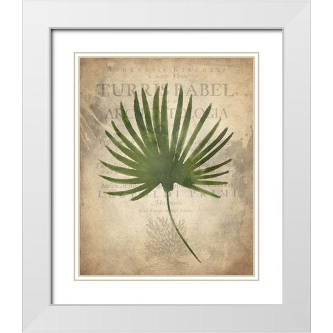 Palms C White Modern Wood Framed Art Print with Double Matting by Kimberly, Allen