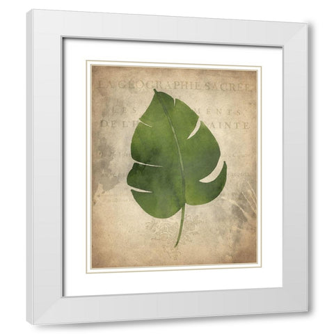 Palms D White Modern Wood Framed Art Print with Double Matting by Kimberly, Allen