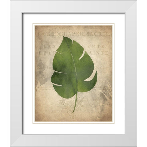 Palms D White Modern Wood Framed Art Print with Double Matting by Kimberly, Allen