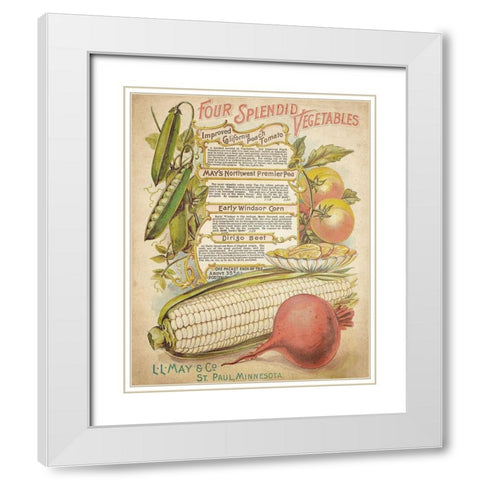 Splendid Vegetables White Modern Wood Framed Art Print with Double Matting by Kimberly, Allen