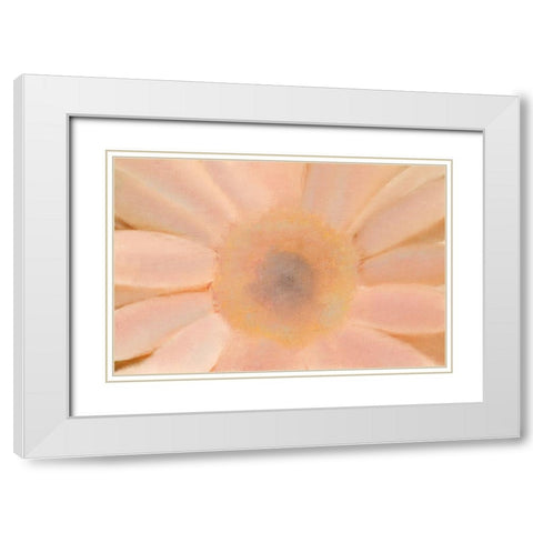 Soft Glow White Modern Wood Framed Art Print with Double Matting by Kimberly, Allen