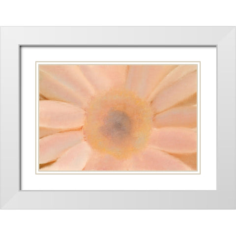 Soft Glow White Modern Wood Framed Art Print with Double Matting by Kimberly, Allen