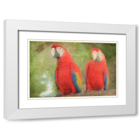 Best Friends  White Modern Wood Framed Art Print with Double Matting by Kimberly, Allen