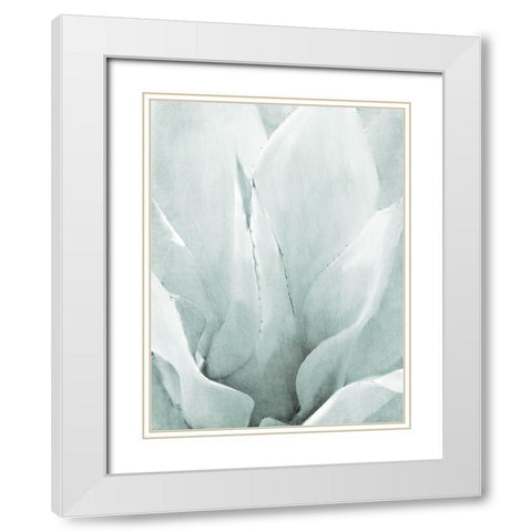 Agave II White Modern Wood Framed Art Print with Double Matting by Kimberly, Allen