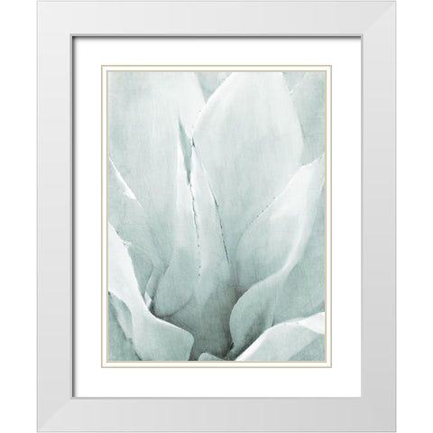 Agave II White Modern Wood Framed Art Print with Double Matting by Kimberly, Allen