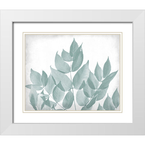 Antiqued Leaves 1 White Modern Wood Framed Art Print with Double Matting by Kimberly, Allen