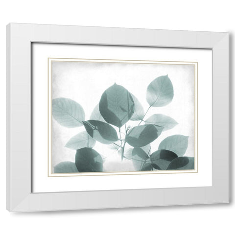 Antiqued Leaves 2 White Modern Wood Framed Art Print with Double Matting by Kimberly, Allen