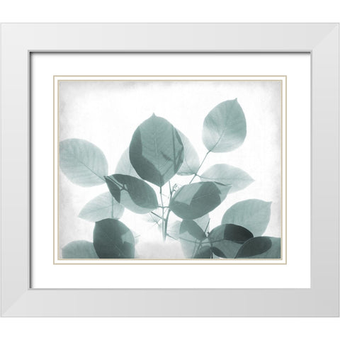 Antiqued Leaves 2 White Modern Wood Framed Art Print with Double Matting by Kimberly, Allen