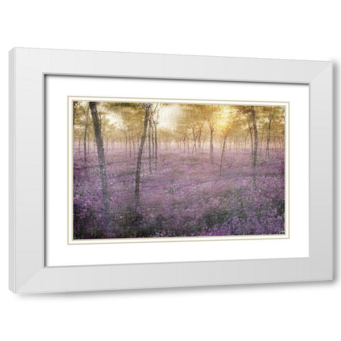 The Grove White Modern Wood Framed Art Print with Double Matting by Kimberly, Allen