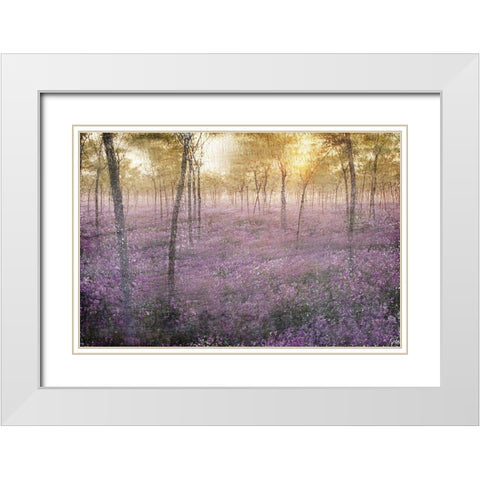 The Grove White Modern Wood Framed Art Print with Double Matting by Kimberly, Allen