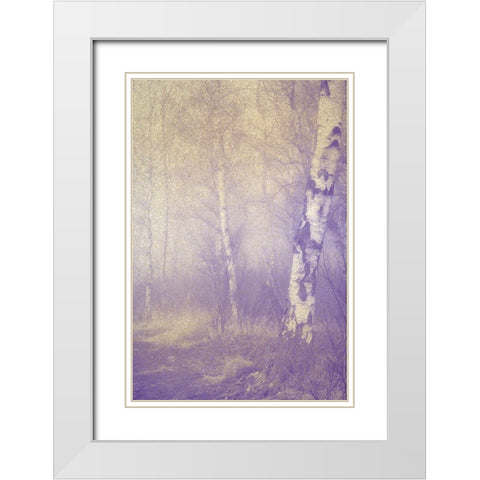 Mystic Forest White Modern Wood Framed Art Print with Double Matting by Kimberly, Allen