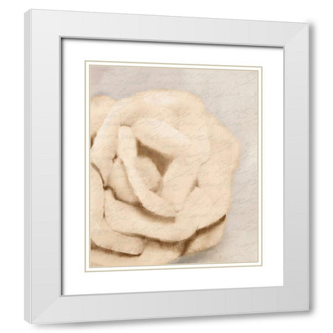 Natural 1 White Modern Wood Framed Art Print with Double Matting by Kimberly, Allen