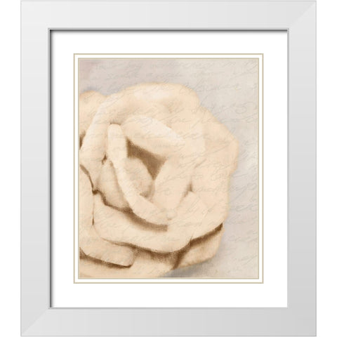 Natural 1 White Modern Wood Framed Art Print with Double Matting by Kimberly, Allen