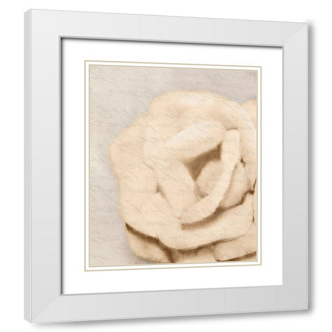 Natural 2 White Modern Wood Framed Art Print with Double Matting by Kimberly, Allen