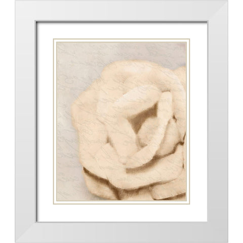 Natural 2 White Modern Wood Framed Art Print with Double Matting by Kimberly, Allen
