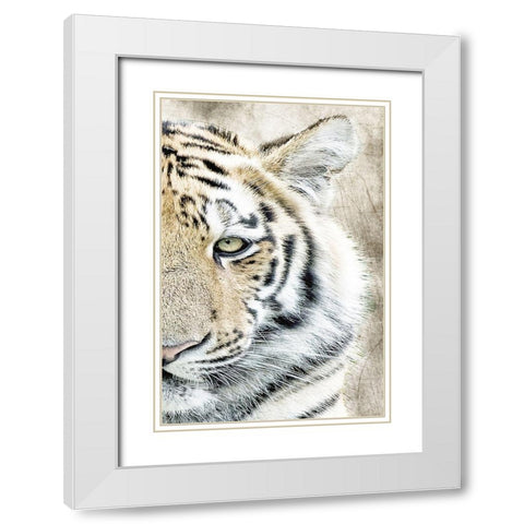 Concentration B White Modern Wood Framed Art Print with Double Matting by Kimberly, Allen