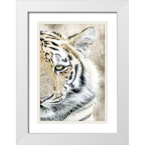 Concentration B White Modern Wood Framed Art Print with Double Matting by Kimberly, Allen